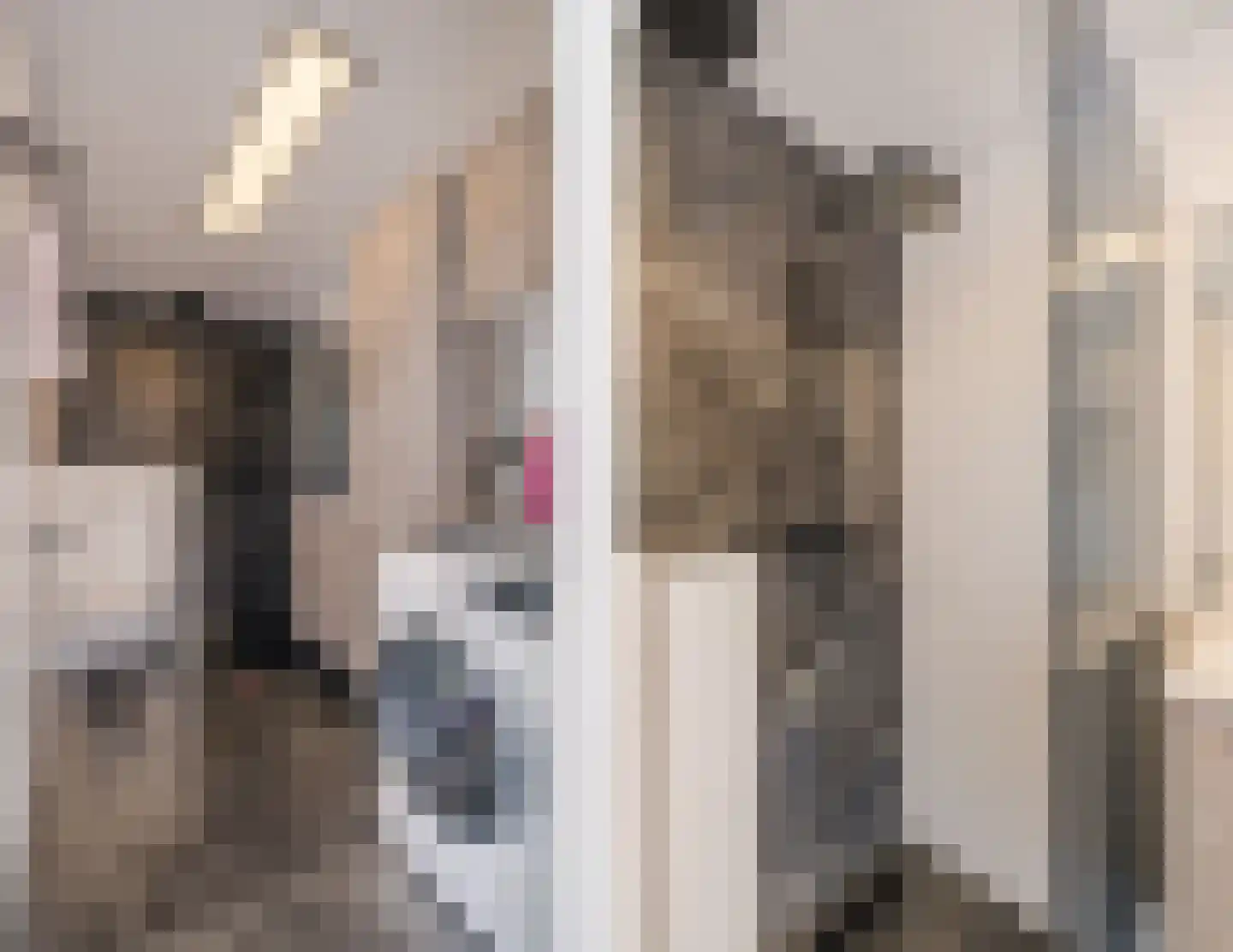 van der Zandenstraat 32 Eersel thumbnail 25