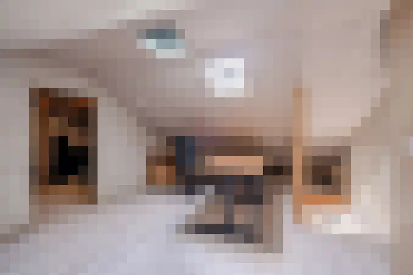 van der Zandenstraat 32 Eersel thumbnail 26