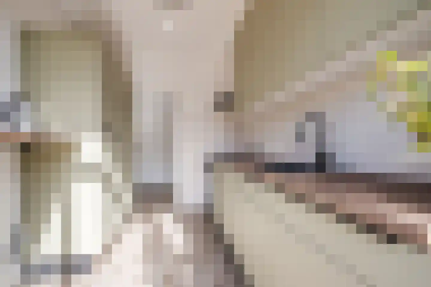 van der Zandenstraat 32 Eersel thumbnail 4