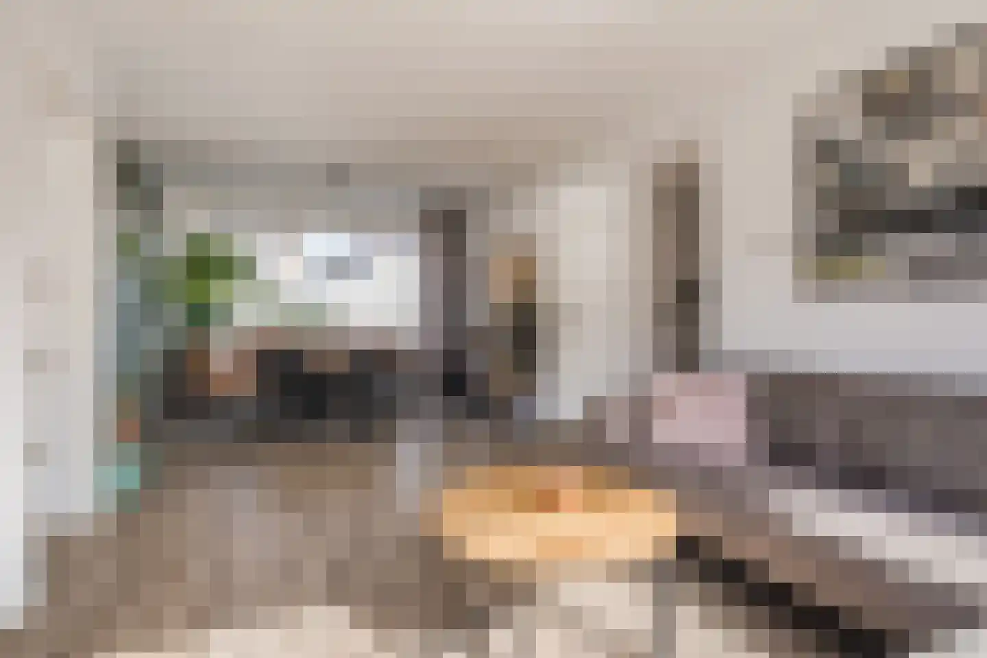 van der Zandenstraat 32 Eersel thumbnail 5