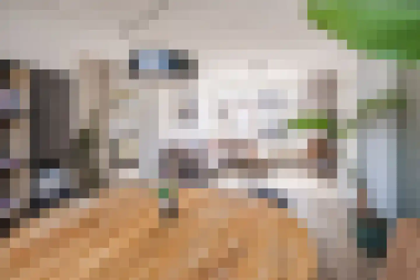 van der Zandenstraat 32 Eersel thumbnail 9