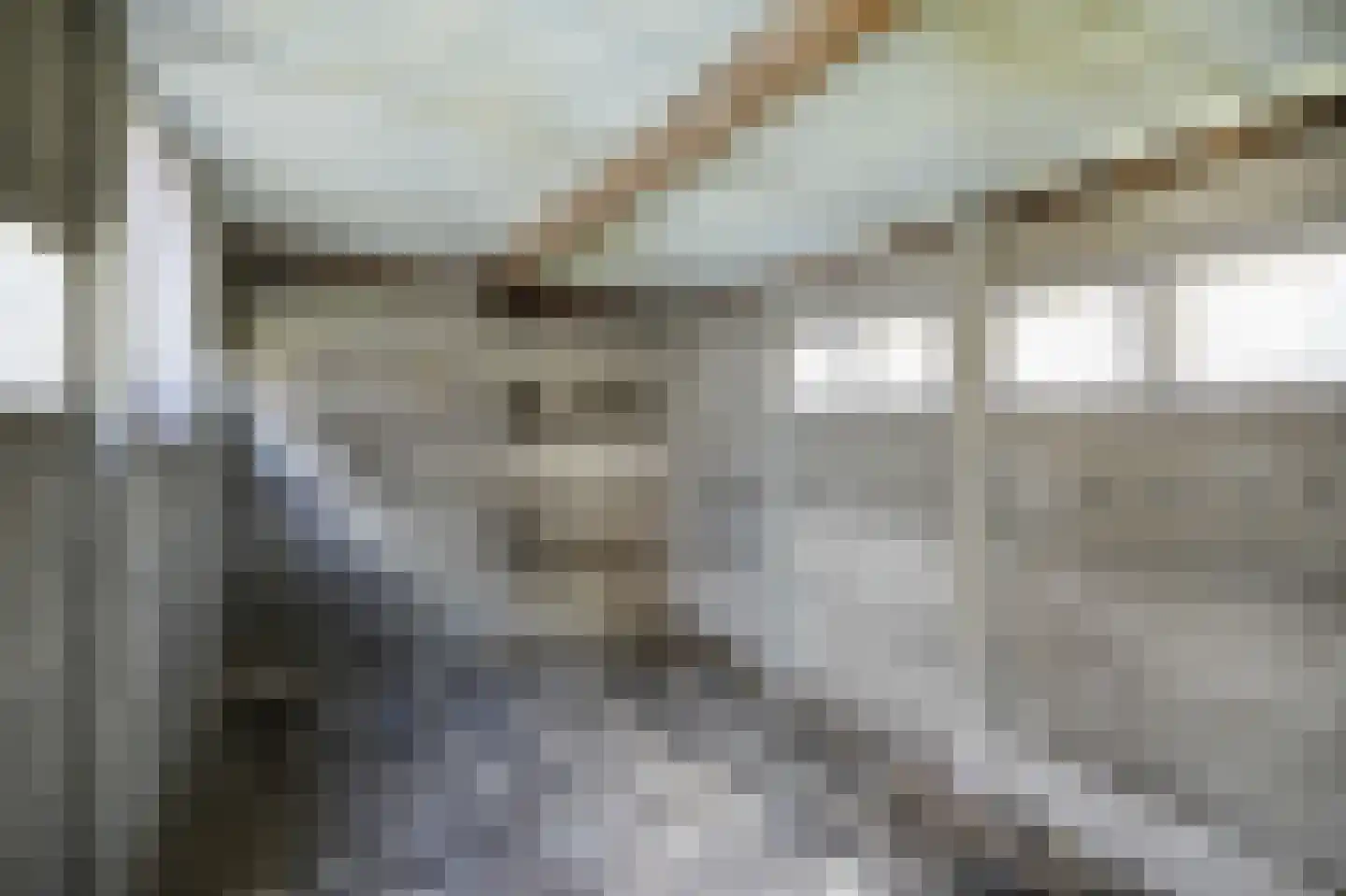 Van der Zandestraat 15 Kesteren thumbnail 18