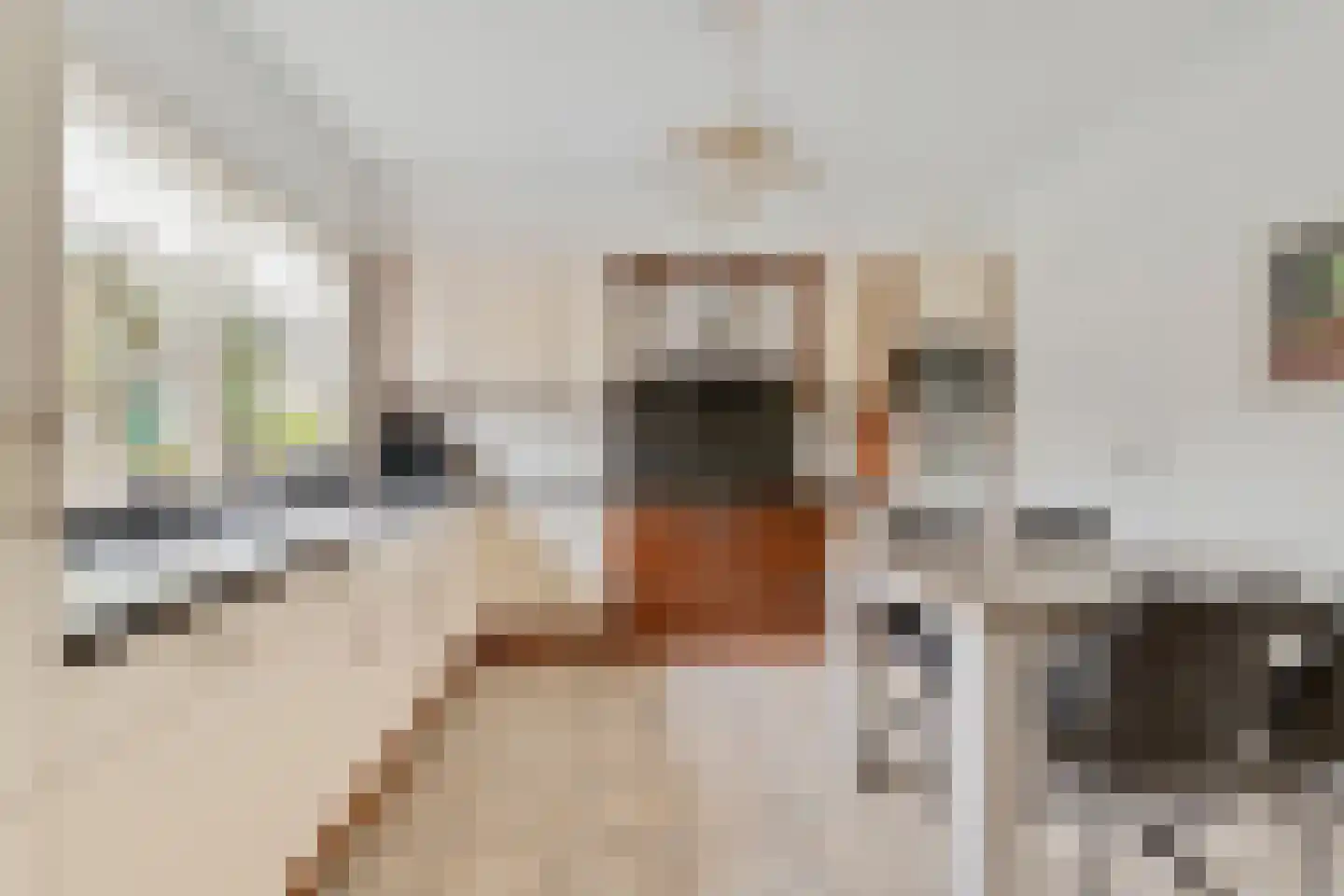 van der Zijpedreef 28 Rucphen thumbnail 11