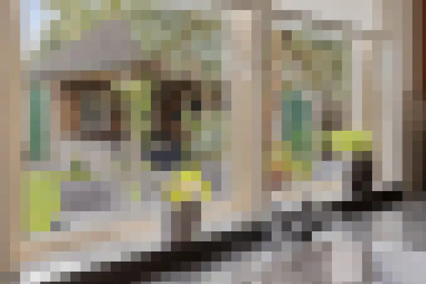van der Zijpedreef 28 Rucphen thumbnail 13