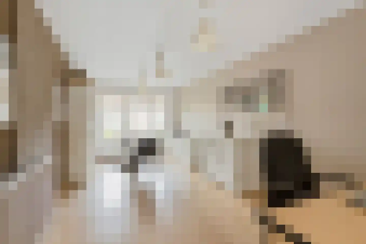 van der Zijpedreef 28 Rucphen thumbnail 16