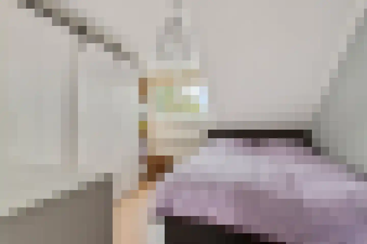van der Zijpedreef 28 Rucphen thumbnail 20
