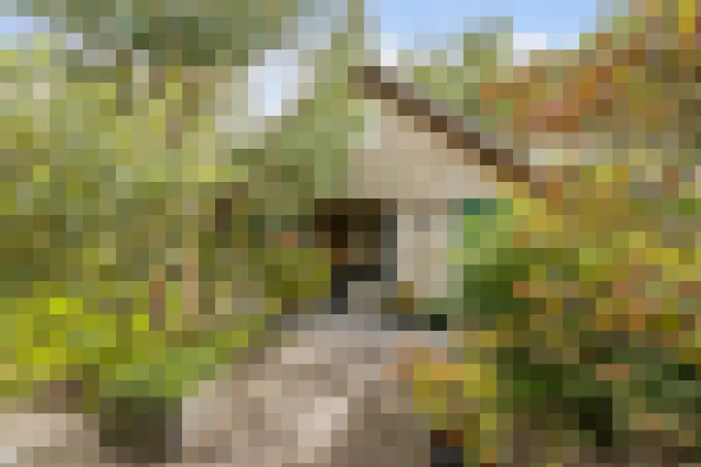 van der Zijpedreef 28 Rucphen thumbnail 28