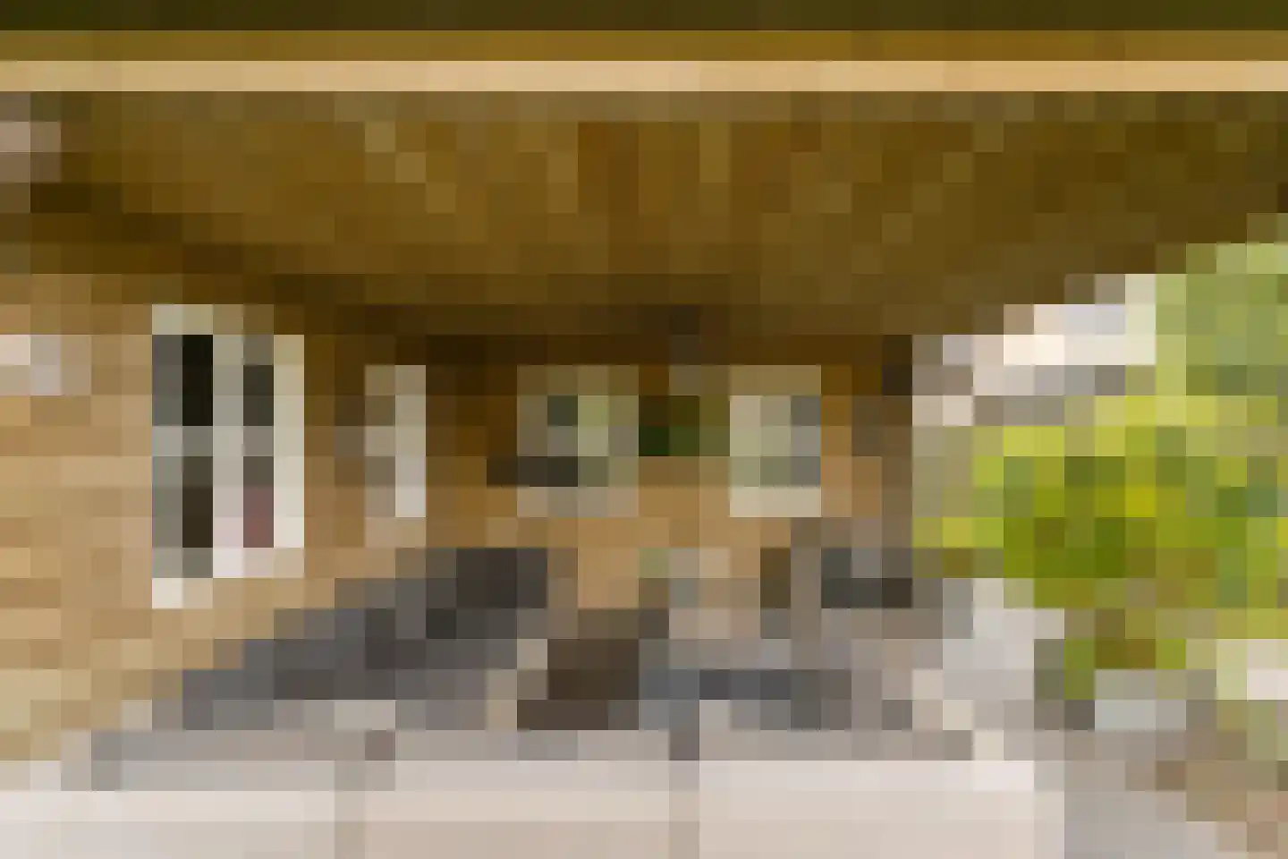 van der Zijpedreef 28 Rucphen thumbnail 29