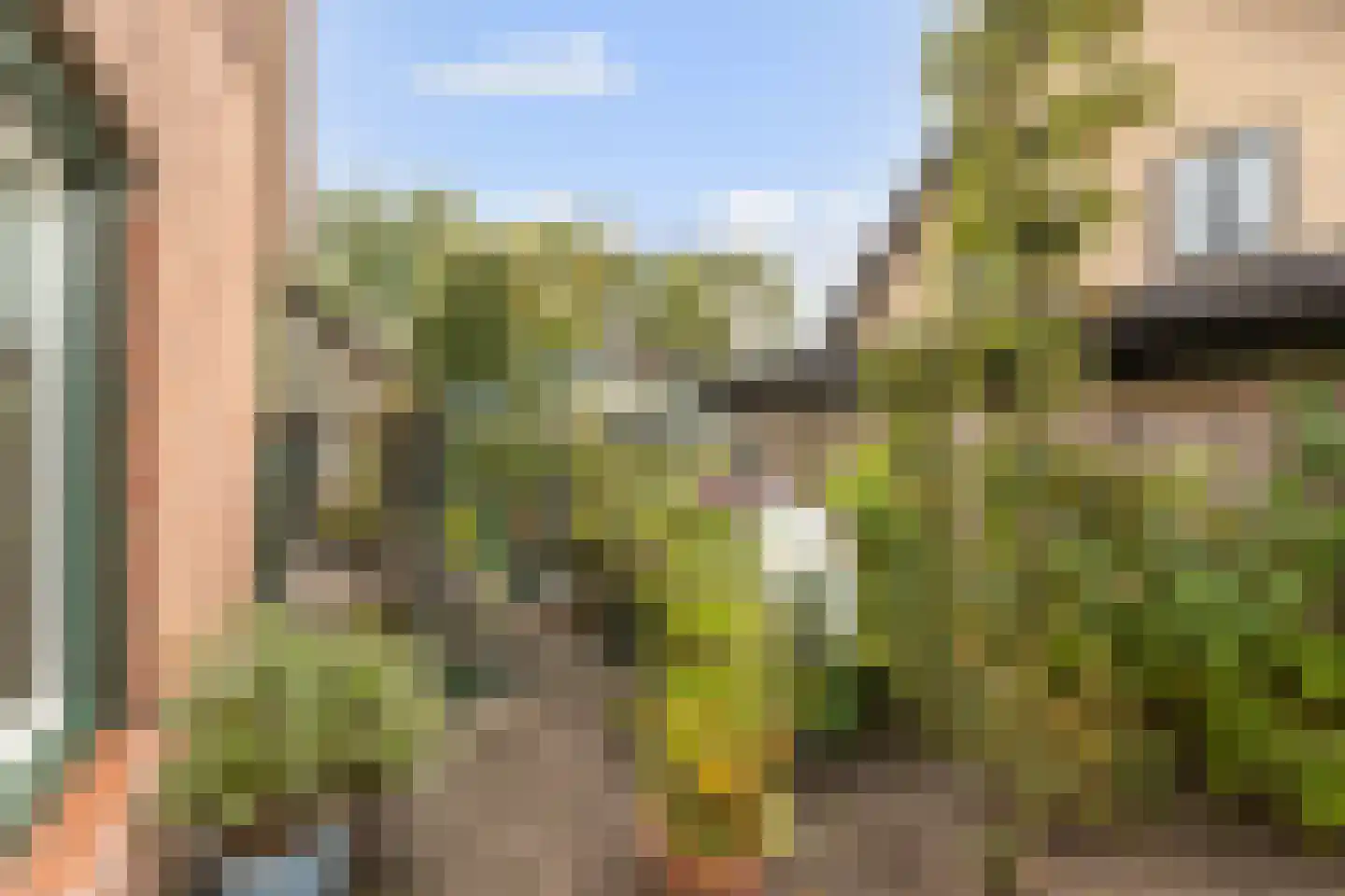 van der Zijpedreef 28 Rucphen thumbnail 30