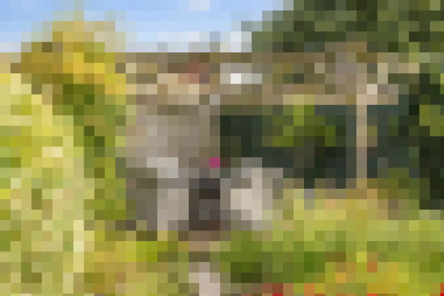 van der Zijpedreef 28 Rucphen thumbnail 32