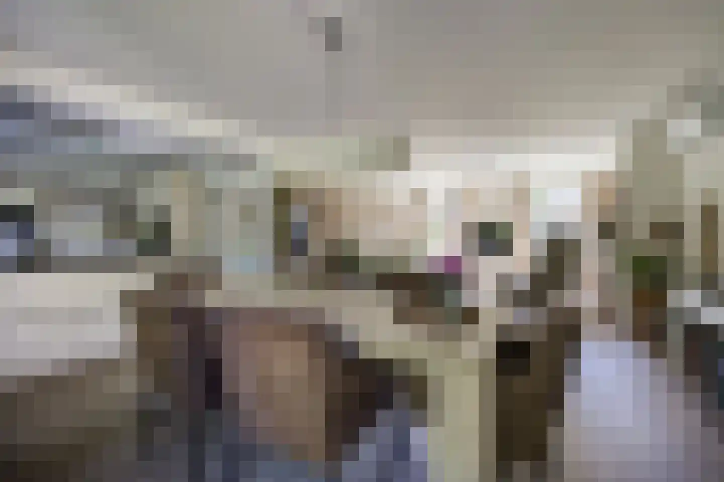 van der Zijpedreef 34 Rucphen thumbnail 14