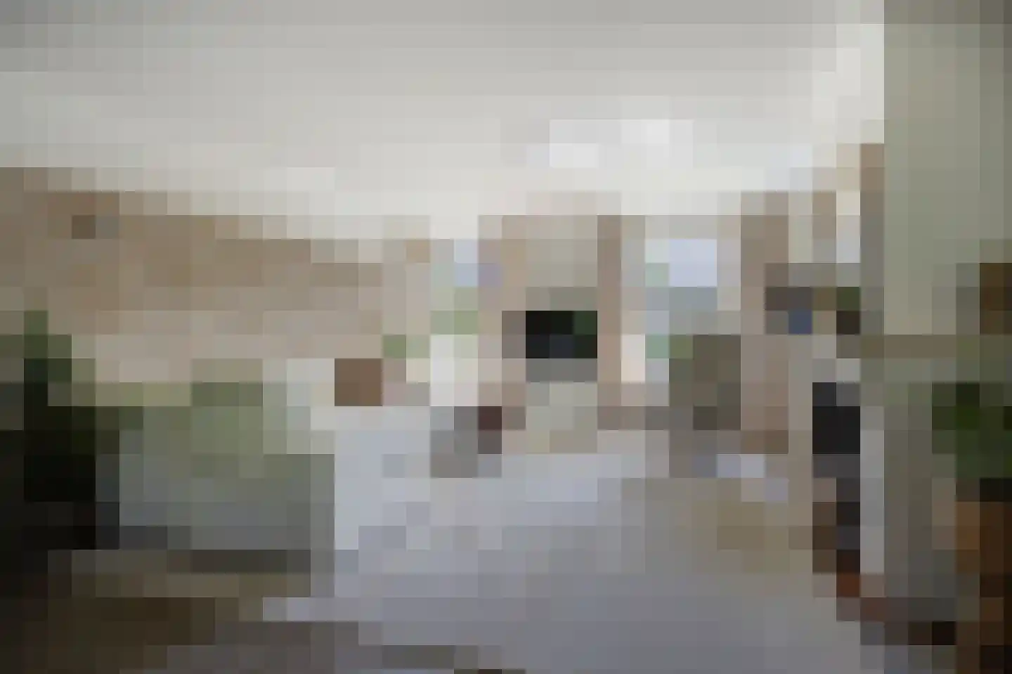 van der Zijpedreef 34 Rucphen thumbnail 15