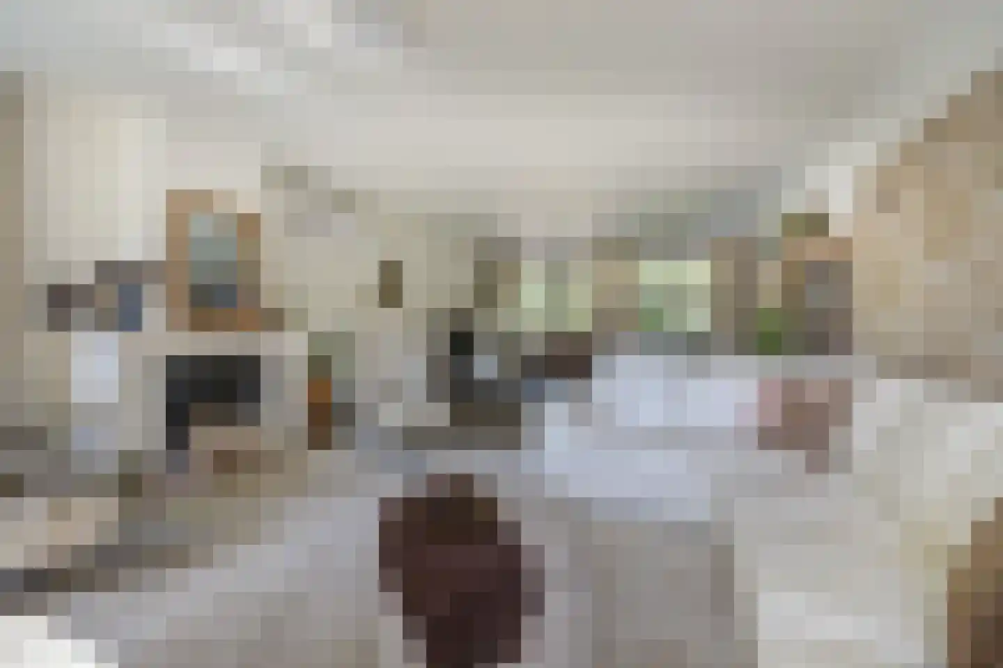 van der Zijpedreef 34 Rucphen thumbnail 17