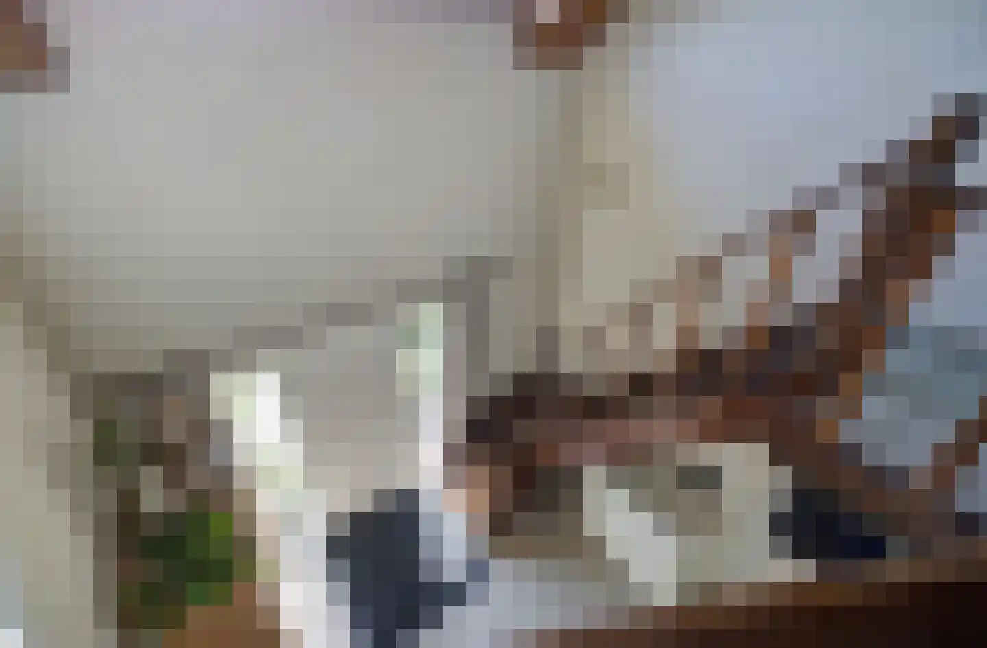 van der Zijpedreef 34 Rucphen thumbnail 25