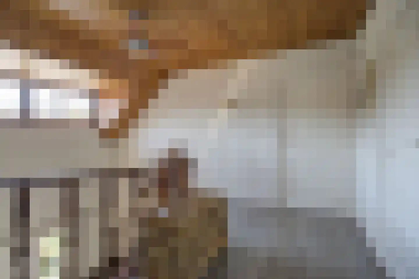 van der Zijpedreef 34 Rucphen thumbnail 26