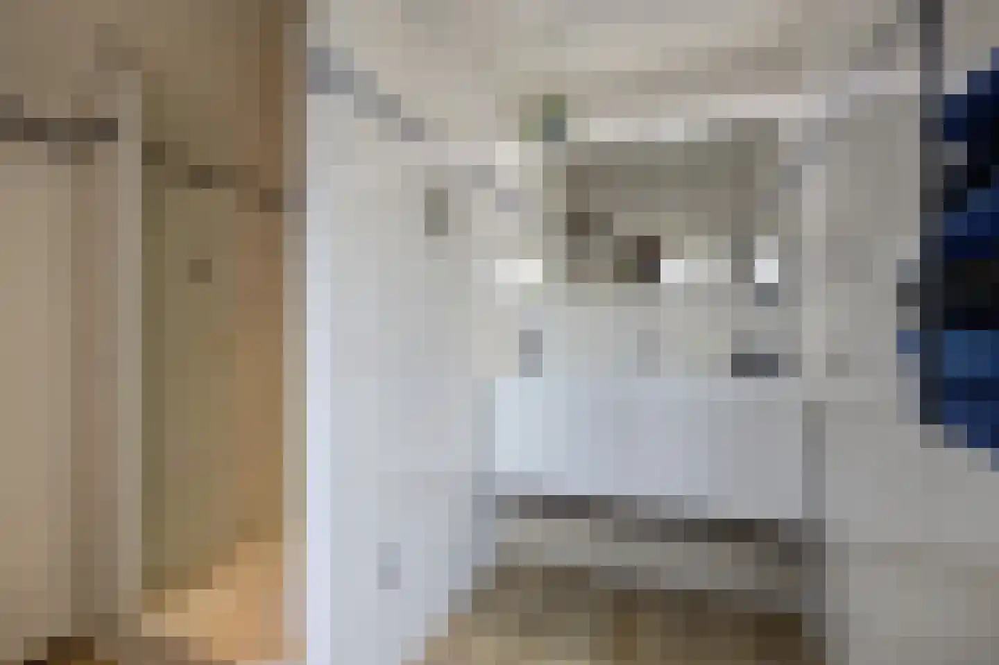 van der Zijpedreef 34 Rucphen thumbnail 31