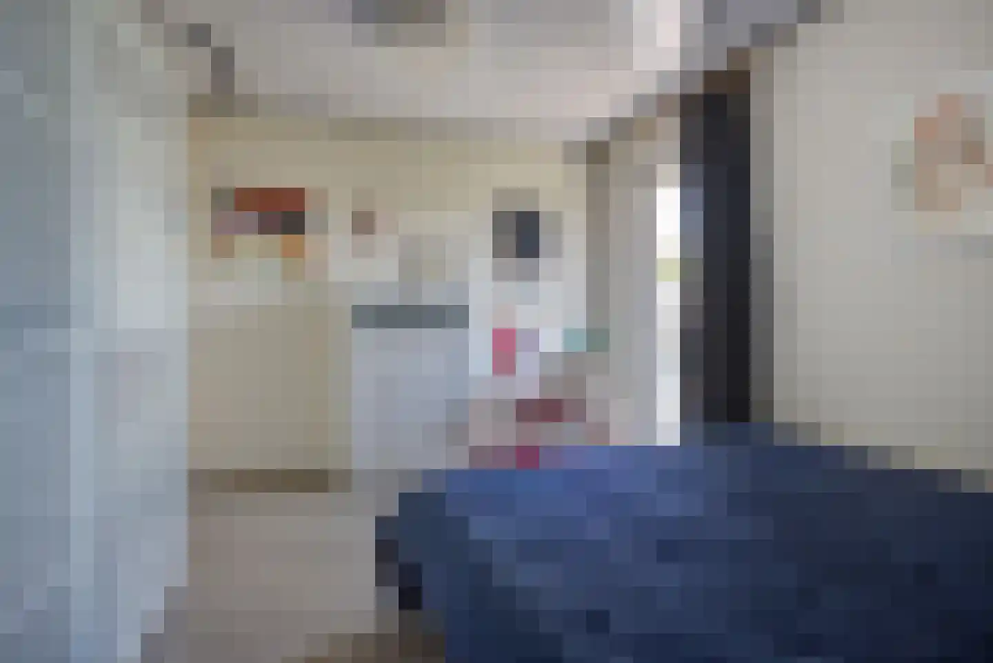van der Zijpedreef 34 Rucphen thumbnail 35