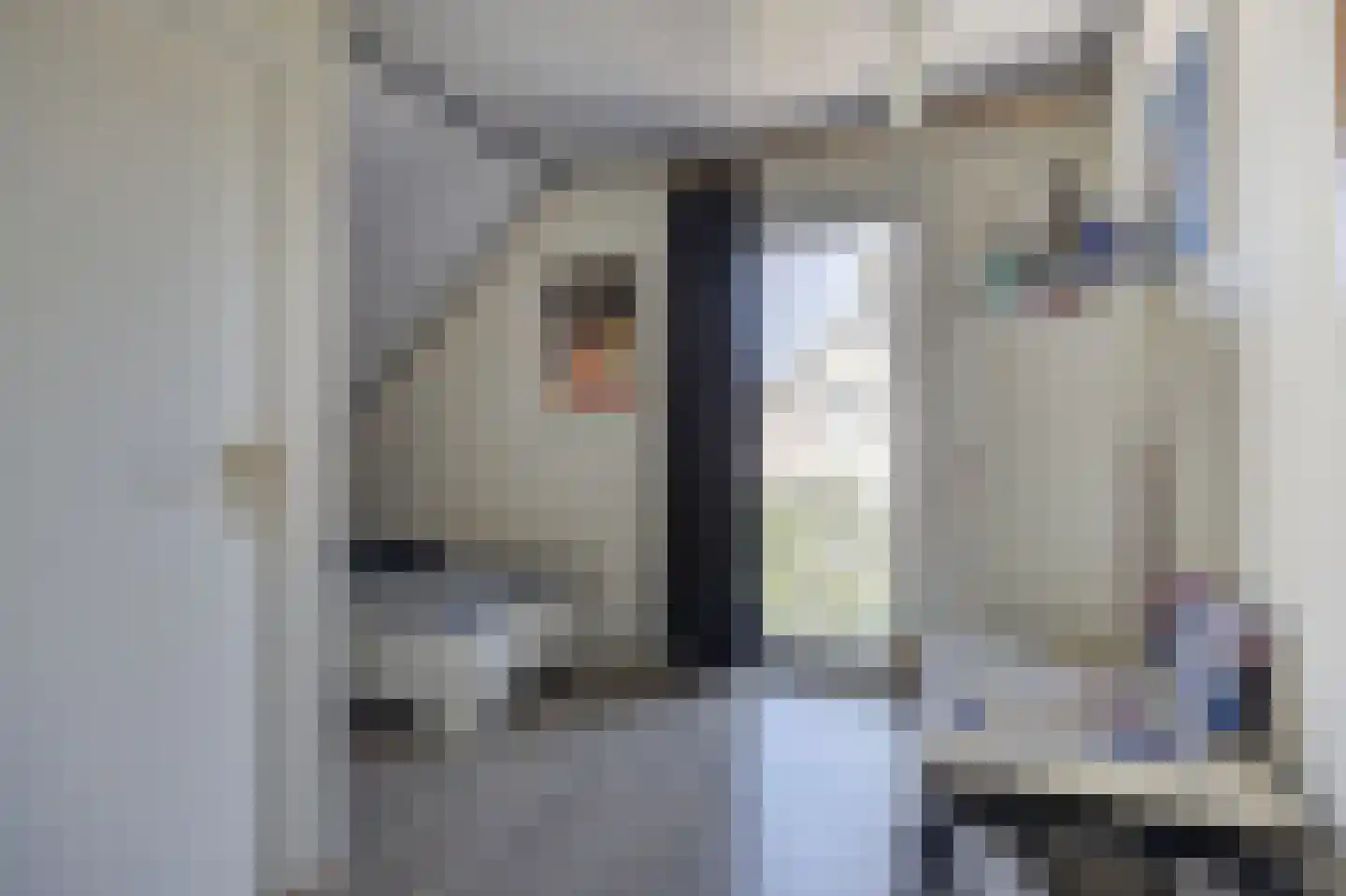van der Zijpedreef 34 Rucphen thumbnail 36