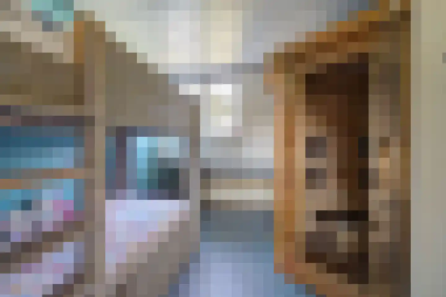 van der Zijpedreef 34 Rucphen thumbnail 37