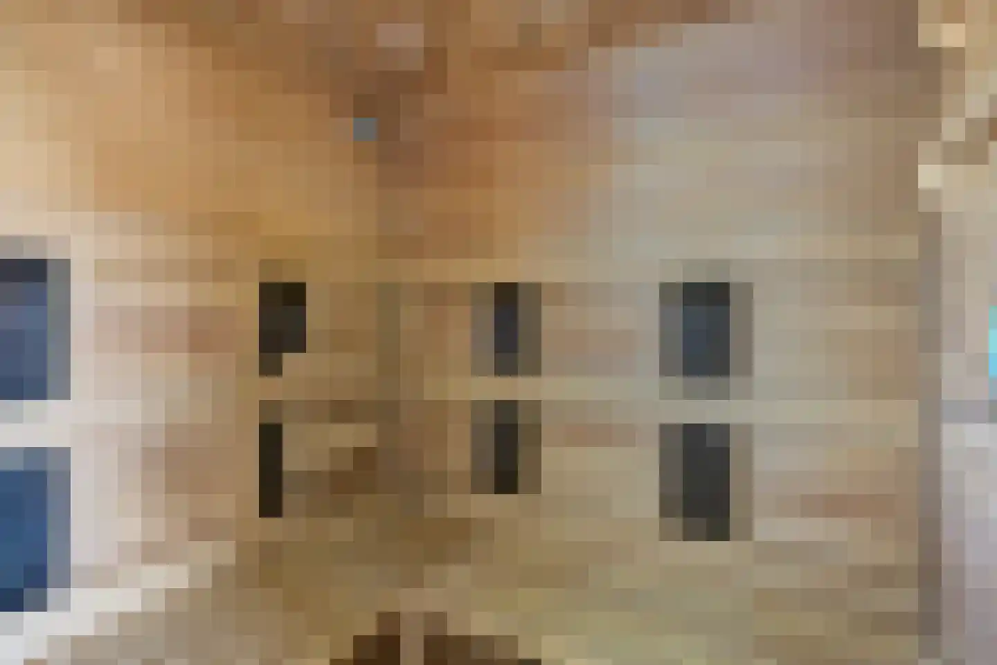 van der Zijpedreef 34 Rucphen thumbnail 39