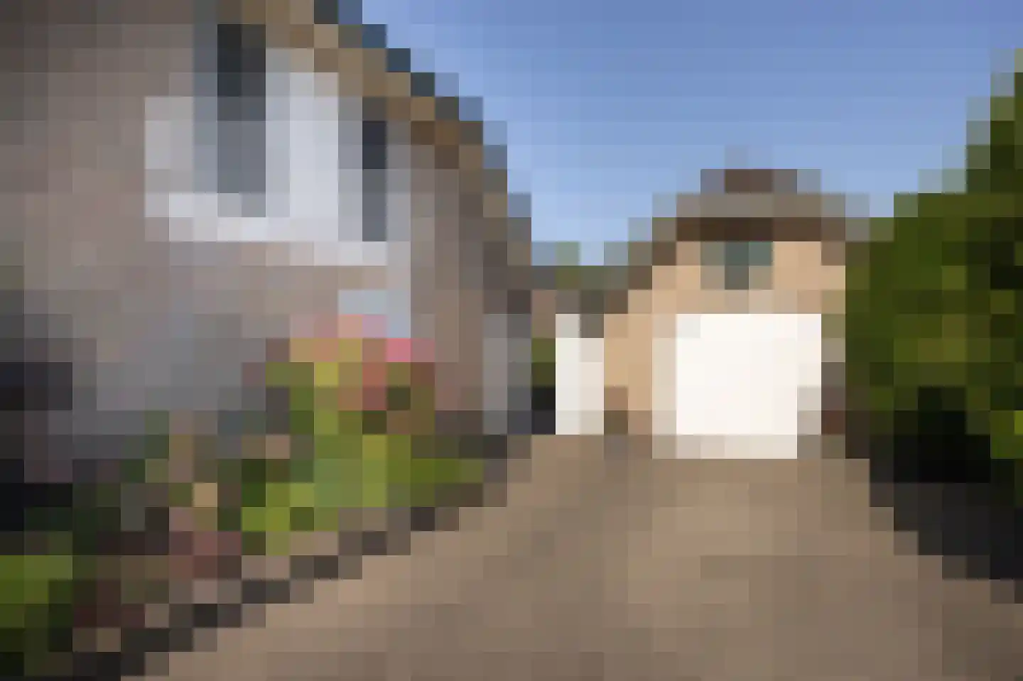 van der Zijpedreef 34 Rucphen thumbnail 4