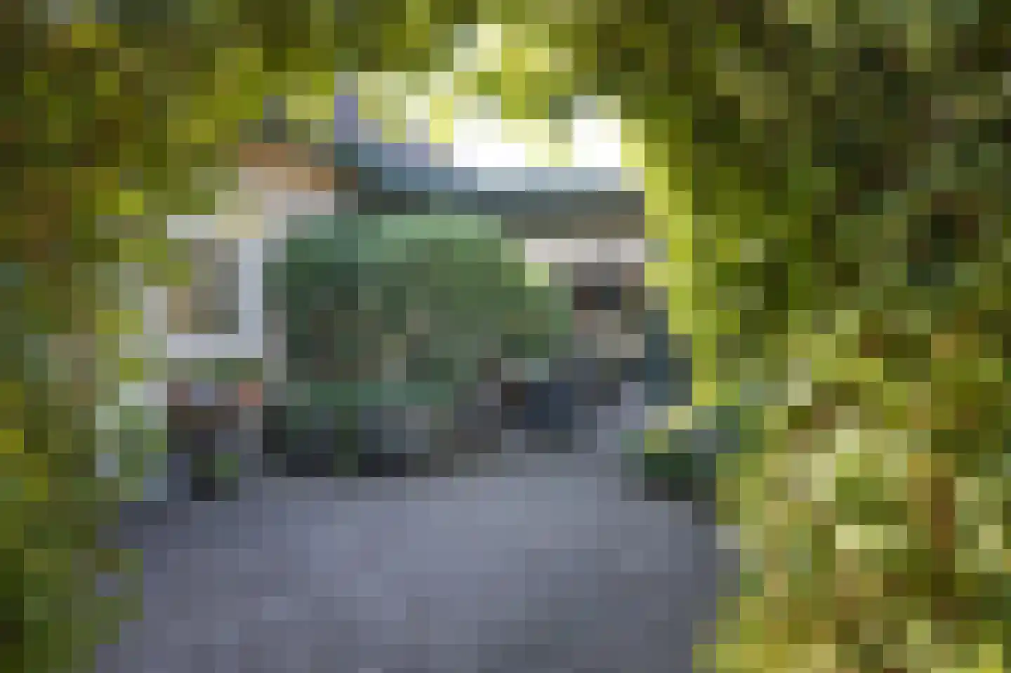 van der Zijpedreef 34 Rucphen thumbnail 42