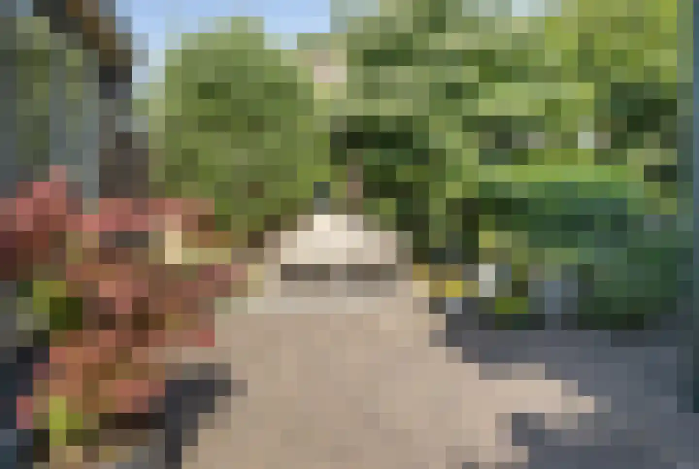 van der Zijpedreef 34 Rucphen thumbnail 43