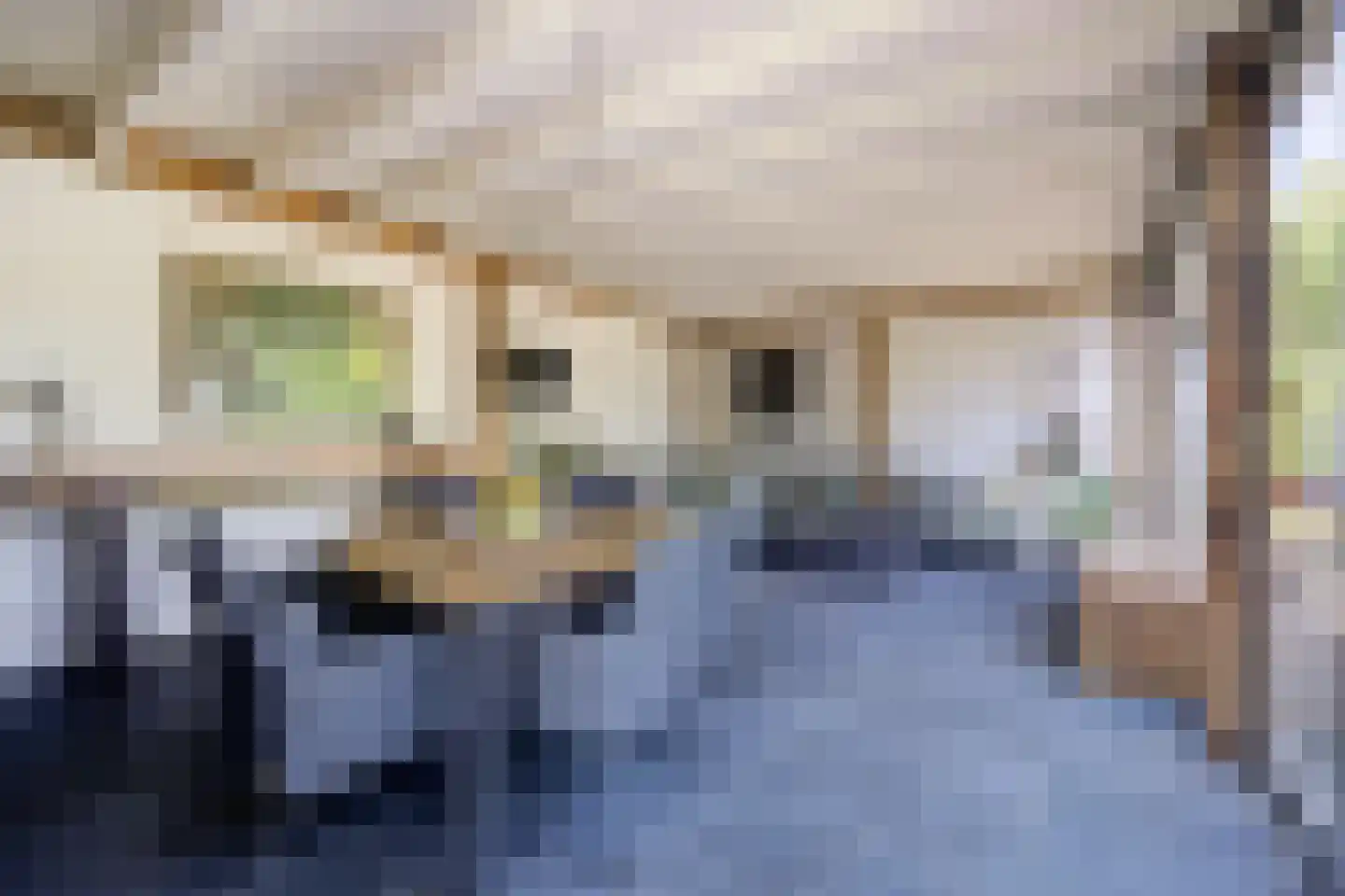 van der Zijpedreef 34 Rucphen thumbnail 44