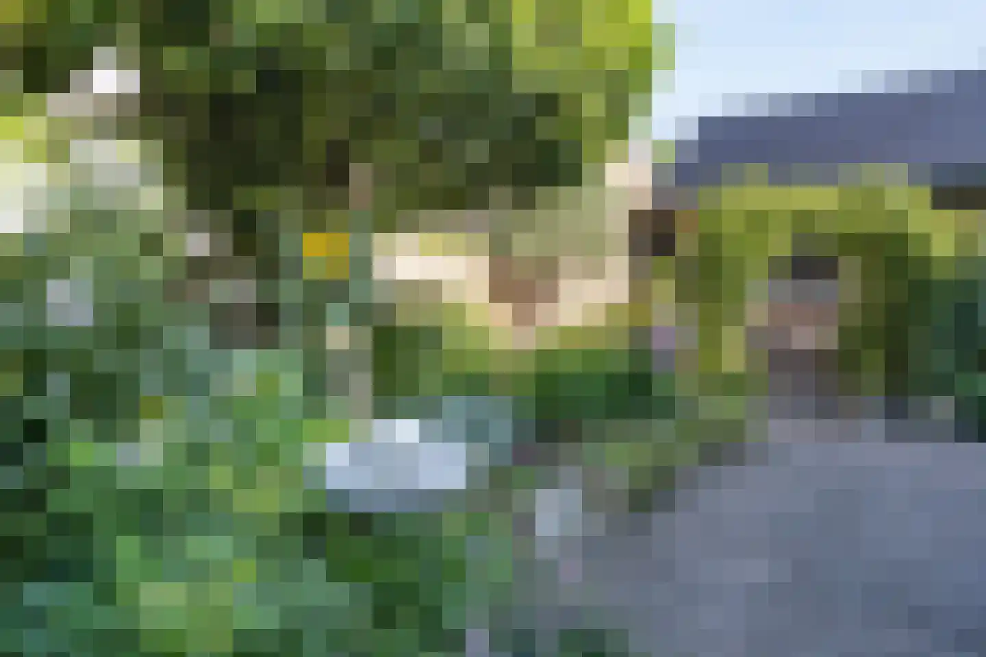 van der Zijpedreef 34 Rucphen thumbnail 52