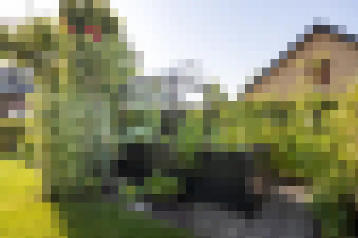 van der Zijpedreef 34 Rucphen thumbnail 53