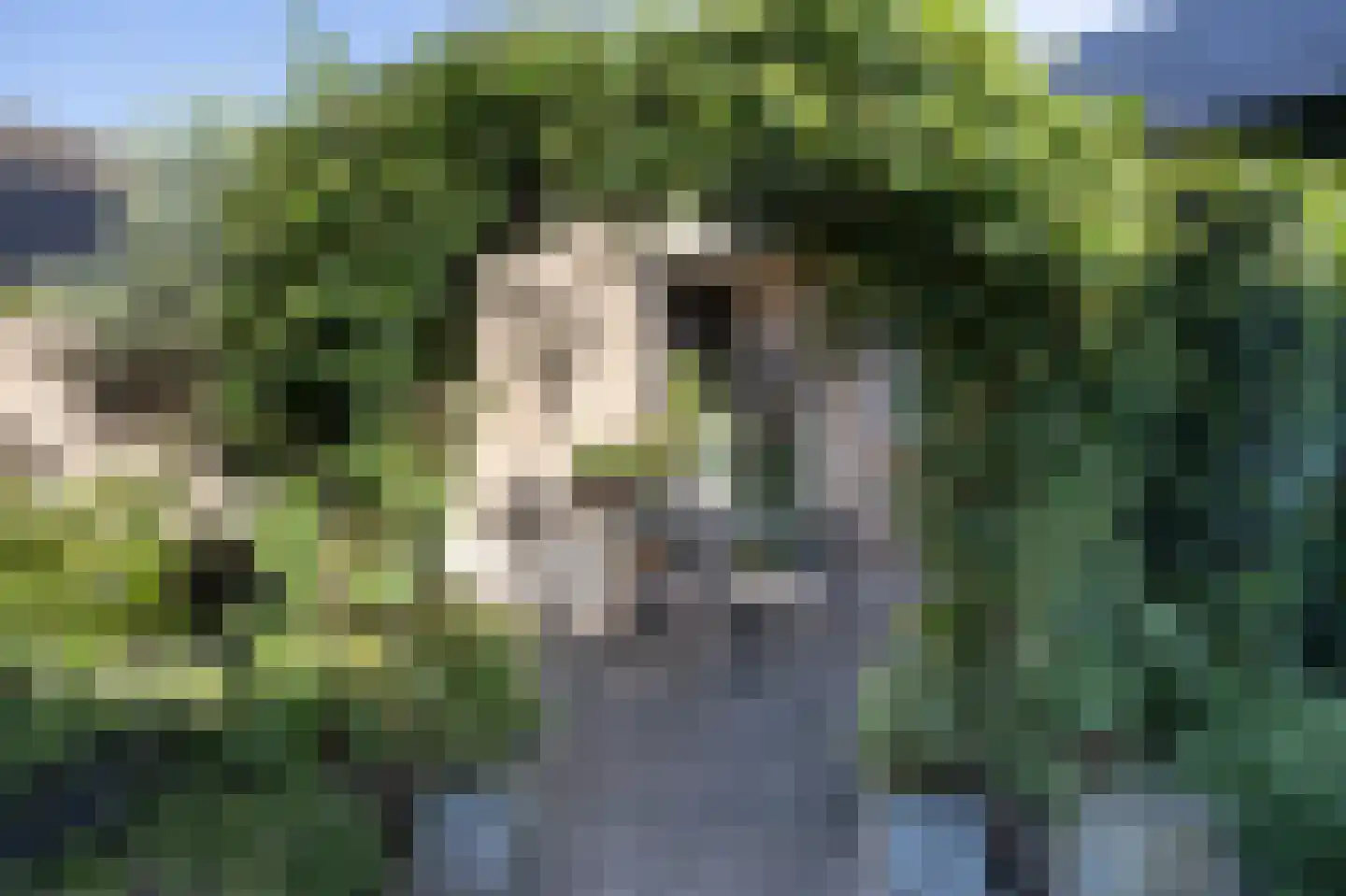 van der Zijpedreef 34 Rucphen thumbnail 55