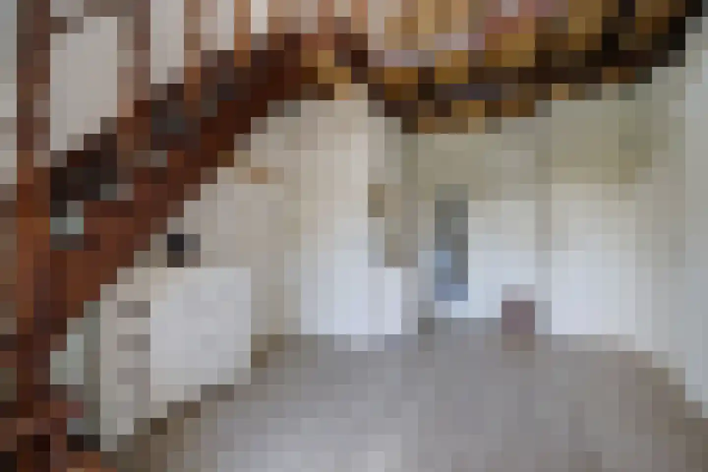 van der Zijpedreef 34 Rucphen thumbnail 6