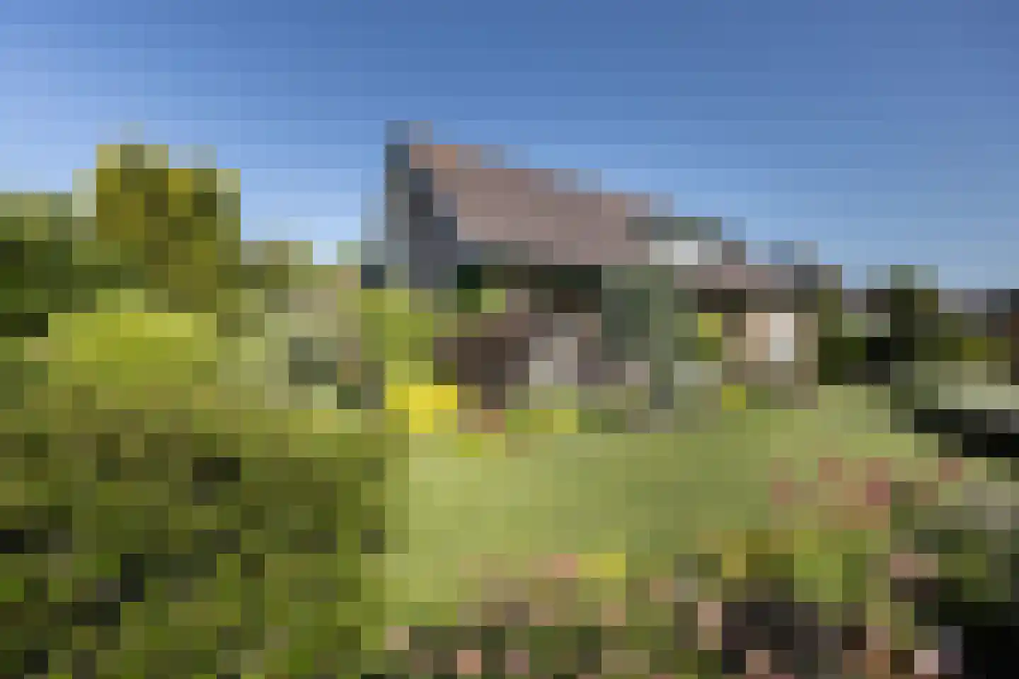 van der Zijpedreef 34 Rucphen thumbnail 61