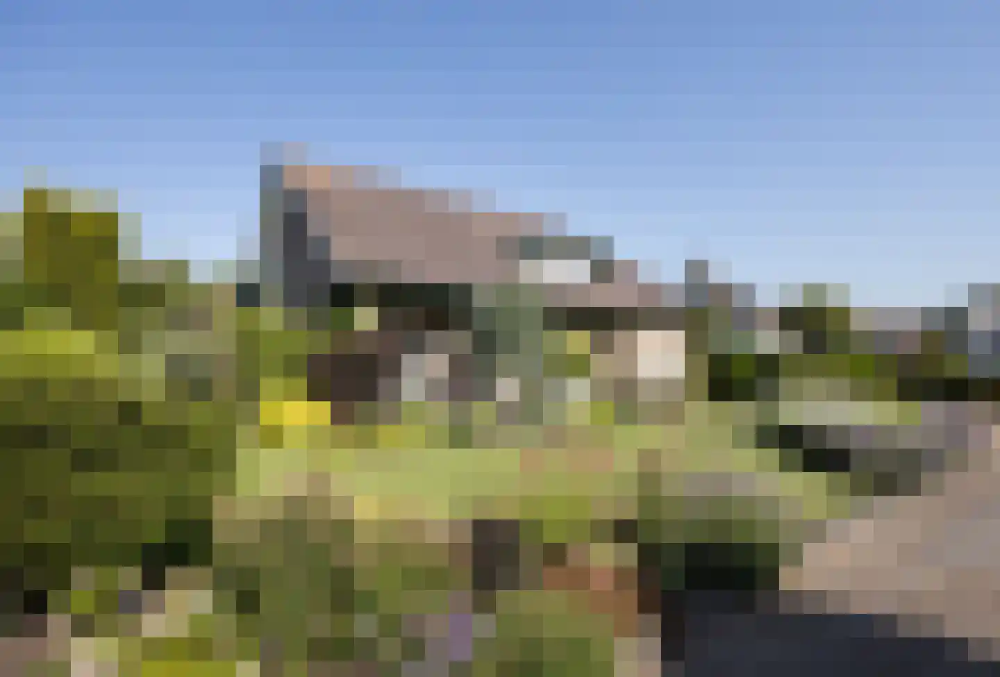 van der Zijpedreef 34 Rucphen thumbnail 63