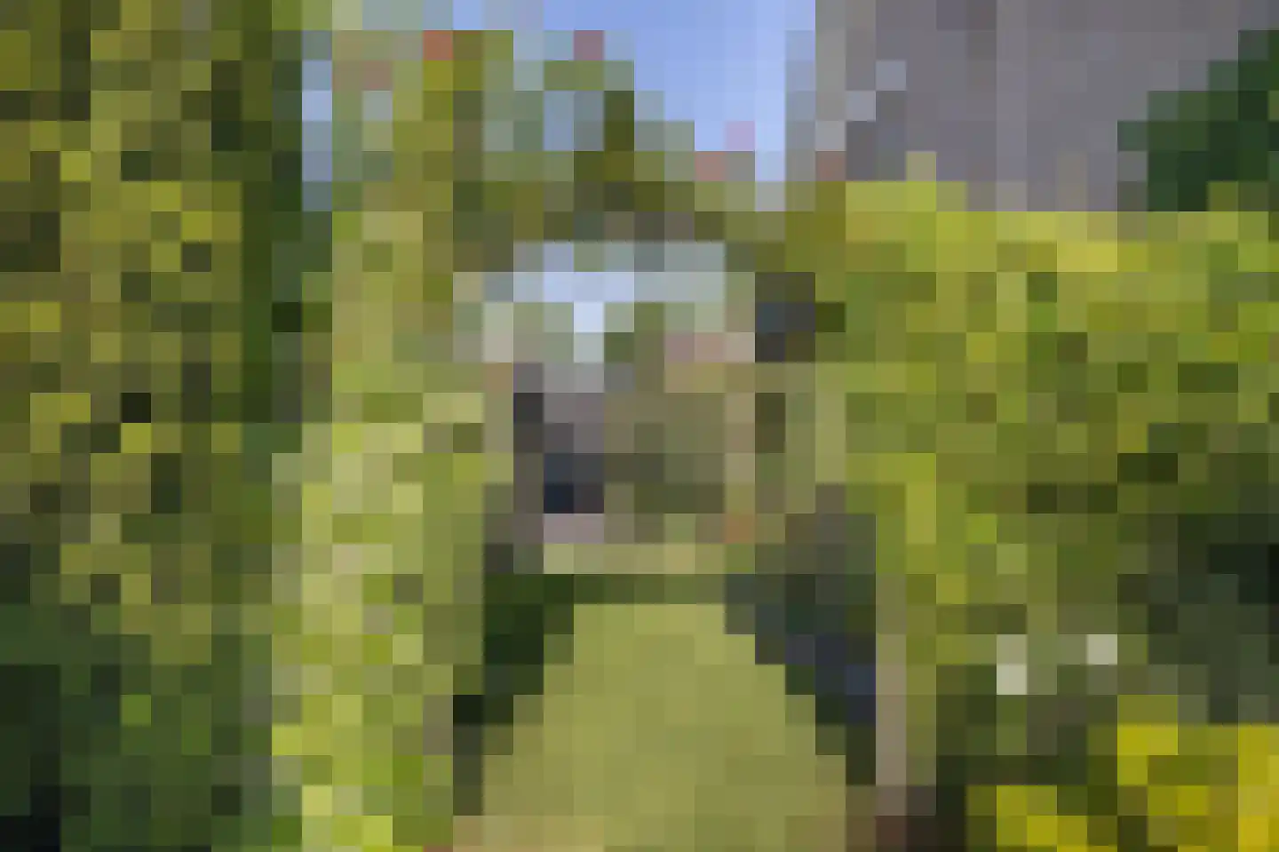 van der Zijpedreef 34 Rucphen thumbnail 64