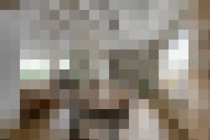 van der Zijpedreef 5 Rucphen thumbnail 12