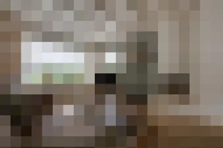van der Zijpedreef 5 Rucphen thumbnail 13