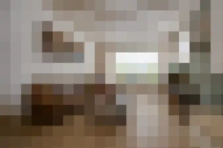 van der Zijpedreef 5 Rucphen thumbnail 14