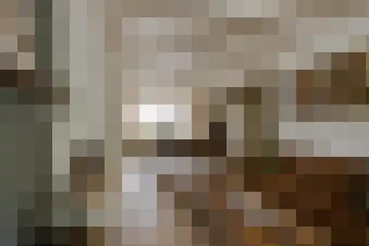 van der Zijpedreef 5 Rucphen thumbnail 15
