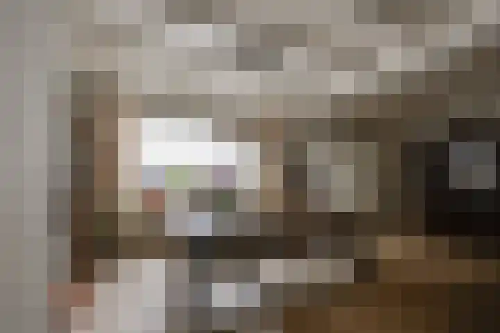 van der Zijpedreef 5 Rucphen thumbnail 16