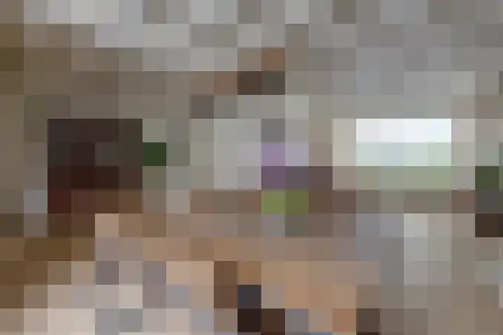 van der Zijpedreef 5 Rucphen thumbnail 17