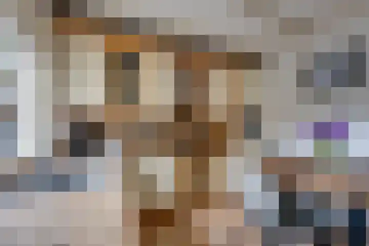 van der Zijpedreef 5 Rucphen thumbnail 20
