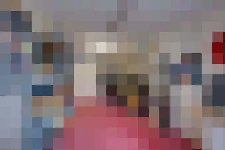 van der Zijpedreef 5 Rucphen thumbnail 23