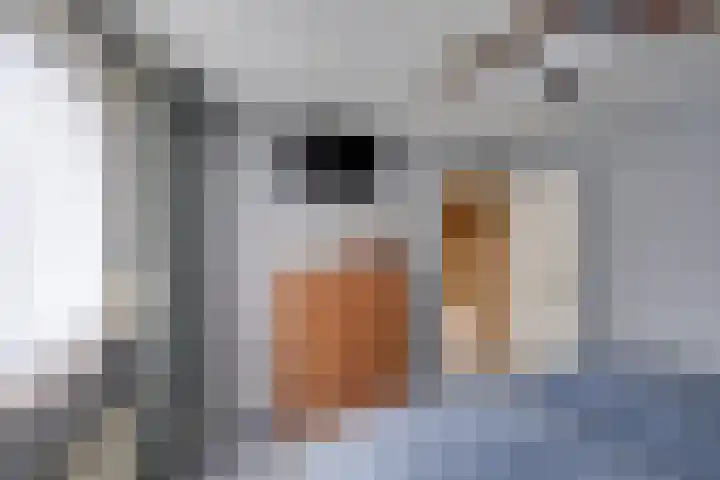 van der Zijpedreef 5 Rucphen thumbnail 26