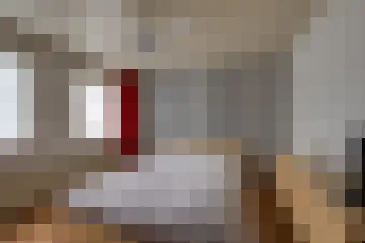 van der Zijpedreef 5 Rucphen thumbnail 27