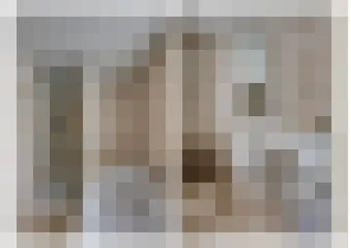 van der Zijpedreef 5 Rucphen thumbnail 31