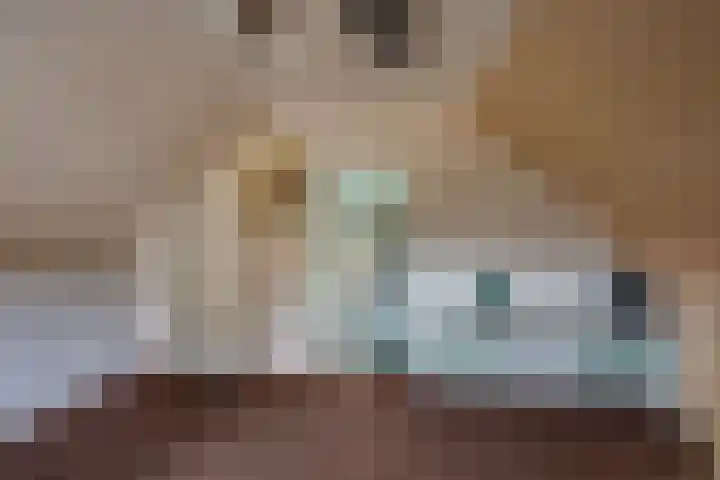 van der Zijpedreef 5 Rucphen thumbnail 36