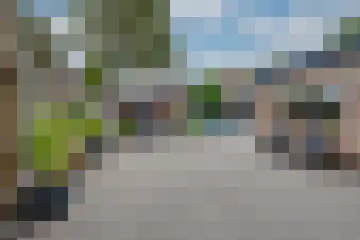 van der Zijpedreef 5 Rucphen thumbnail 37