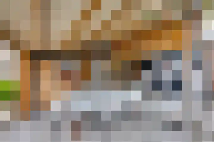 van der Zijpedreef 5 Rucphen thumbnail 40