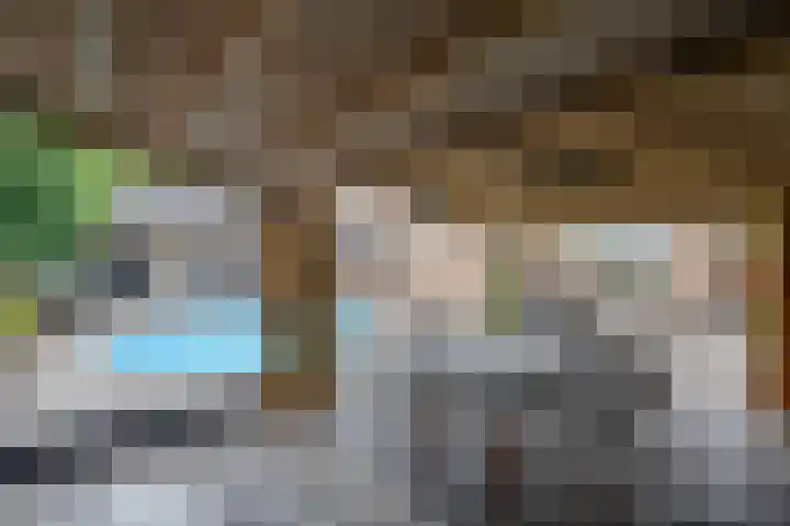 van der Zijpedreef 5 Rucphen thumbnail 41